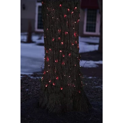 Northlight Mini Net Style Incandescent Christmas Lights - 2' X 8' - Red - Brown Wire 2 Northlight Mini Net Style Incandescent Christmas Lights - 2' X 8' - Red - Brown Wire - Image 2