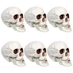 Northlight Skeleton Skull Halloween Decorations - 3.5" - Pack Of 6 -Holiday Decoration Store GUEST 18d81582 859a 47fe 91ff 4fc6185679ff