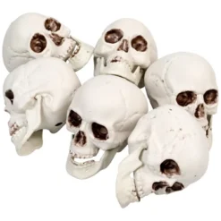 Northlight Skeleton Skull Halloween Decorations - 3.5" - Pack Of 6 -Holiday Decoration Store GUEST 1be96f82 8f2e 4213 9e7b 2789a3d8c95e