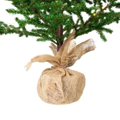 Northlight Pre-lit Christmas Tree With Pinecones And Burlap Base - 4' - Clear Lights -Holiday Decoration Store GUEST 1e915514 b194 4cdb bc26 869597afcc8f