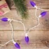 Northlight 25 Count Purple LED C9 Christmas Lights, 16 Ft White Wire