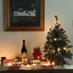 Northlight Mini Christmas Light Set -Clear - 4' Green Wire - 20ct -Holiday Decoration Store GUEST 3093eb63 6fa3 4483 b174 680674649cb2