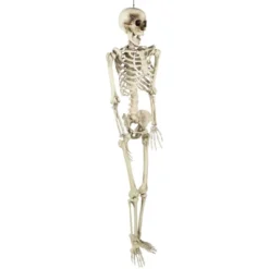 Northlight Life Size Skeleton Halloween Hanging Decoration - 5' -Holiday Decoration Store GUEST 31ffc76d 6ab6 4d56 9978 b4b32ded9fad