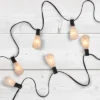 Northlight 10 Count Clear Edison Glass Patio Lights, 9ft Black Wire