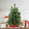 Northlight 2' Prelit Artificial Christmas Tree Canadian Pine - Multicolor LED Lights
