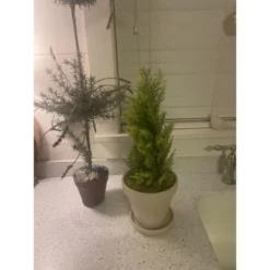 Northlight 1.4 FT Upswept Frosted Cedar Artificial Christmas Tree - Unlit -Holiday Decoration Store GUEST 4c5aa6a2 a6e3 4335 ab93 bfbe41a4afa2