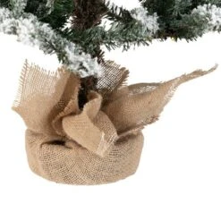 Northlight Real Touch™ Pre-Lit B/O Tamarack Pine Artificial Christmas Tree With Burlap - 3' Warm White LED -Holiday Decoration Store GUEST 5328657f 105a 42c8 ab25 e7f88c299a91