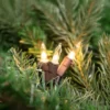 Northlight Mini Incandescent Christmas Lights - Clear - 7' Brown Wire - 35ct