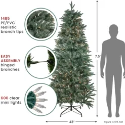 Northlight Real Touch™️ Pre-Lit Washington Frasier Fir Slim Artificial Christmas Tree - 7.5' - Clear Lights -Holiday Decoration Store GUEST 6c7072f5 8401 43ab 9e4b d2dc8cb5368c