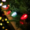 Northlight 25ct Red And Pure White LED C7 Christmas Lights - 16ft Green Wire