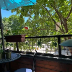 Northlight Grape Cluster Outdoor Patio String Light Set - Green - 6' Green Wire - 5ct -Holiday Decoration Store GUEST 7cbf71f5 7eb6 4139 822e 383919345120