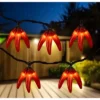 Northlight 36ct Chili Pepper Clustered String Lights Red - Brown Wire