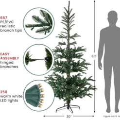 Northlight Real Touch™️ Pre-Lit Pencil Nordmann Fir Artificial Christmas Tree - 6.5' - Warm Clear LED Lights -Holiday Decoration Store GUEST 87532dff cf00 4625 b499 805197cce026