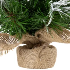 Northlight Whitecap Pine Artificial Mini Christmas Tree - 14" - Unlit -Holiday Decoration Store GUEST 950f2d55 9601 456d b760 24ee8f0eab27