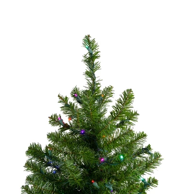 Northlight 2' Prelit Artificial Christmas Tree Canadian Pine - Multicolor LED Lights 2 Northlight 2' Prelit Artificial Christmas Tree Canadian Pine - Multicolor LED Lights - Image 2