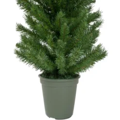 Northlight 4' Potted Virginia Pine Walkway Slim Artificial Christmas Tree - Unlit -Holiday Decoration Store GUEST 975bc0b7 5b18 4dd1 9808 136bc2d036eb