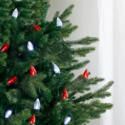 Northlight 25ct Red And Pure White LED C7 Christmas Lights - 16ft Green Wire -Holiday Decoration Store GUEST b12715ea a599 4d23 8ce5 1b3003bc303a