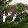Northlight 50ct LED Mini String Lights Purple - 16.25' White Wire
