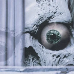 Northlight Scary Skeleton Halloween Window Decoration - 46" -Holiday Decoration Store GUEST b76cbd89 c93c 489c a48b 39ced4c6c39a