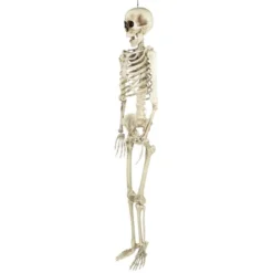 Northlight Life Size Skeleton Halloween Hanging Decoration - 5' -Holiday Decoration Store GUEST bca64ee8 bbb6 4a01 844a cc7b09646756