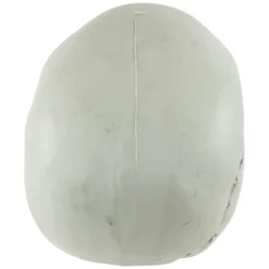 Northlight Bag Of Skulls Halloween Decorations - 6" - Set Of 3 -Holiday Decoration Store GUEST c3023818 df73 4b5d ab32 d45333f04b12