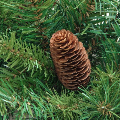 Northlight 4' Red Pine Full Profile Artificial Christmas Tree With Pine Cones - Unlit 1 Northlight 4' Red Pine Full Profile Artificial Christmas Tree With Pine Cones - Unlit