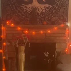 Northlight 35-Count Orange Chili Pepper Patio String Light Set, 22.5ft Brown Wire -Holiday Decoration Store GUEST c51ee1ff f8bc 434e a2bb eedec556e48b