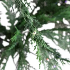 Northlight Pre-Lit Medium Weeping Cedar IPT Artificial Christmas Tree - 6.5' - Dual Color LED Lights -Holiday Decoration Store GUEST d1c63646 f460 4a3a 8c6c 8fbb6bfcea87