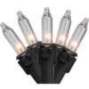 Northlight Mini Incandescent Christmas Lights - Clear - 10' Black Wire - 50ct