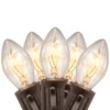 Northlight C7 Christmas String Lights - Clear - 24' Brown Wire - 25ct