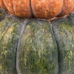 Northlight Tri-Color Pumpkin Stack Fall Harvest Decoration - 19" 13 Northlight Tri-Color Pumpkin Stack Fall Harvest Decoration - 19" -Holiday Decoration Store GUEST e28ad1e9 9871 4bcc 9009 10d68c0afba9