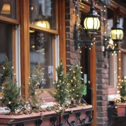 Northlight Incandescent Mini Christmas Lights - Clear - 10' Green Wire - 50ct -Holiday Decoration Store GUEST e4a1fd54 a198 4b16 87b1 7eee5bb69bd1 4