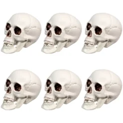 Northlight Skeleton Skull Halloween Decorations - 3.5" - Pack Of 6 -Holiday Decoration Store GUEST e5a1e57a 2746 4249 8313 c07114e9de93