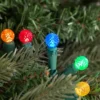 Northlight LED G12 Berry Christmas Lights - Multicolor - 16' Green Wire - 50 Ct