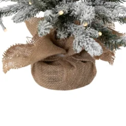 Northlight Real Touch™ Pre-Lit B/O Tamarack Pine Artificial Christmas Tree With Burlap - 2' Warm White LED -Holiday Decoration Store GUEST e7d34180 7e9d 4837 b522 c67dedd5279c